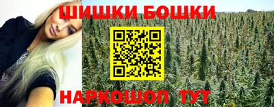 стаф Моздок
