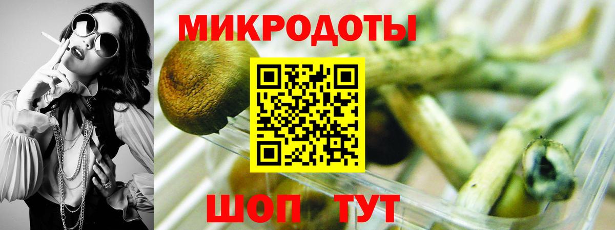 Псилоцибиновые грибы MAGIC MUSHROOMS  что такое наркотик  Хабаровск  Вход с VPN 